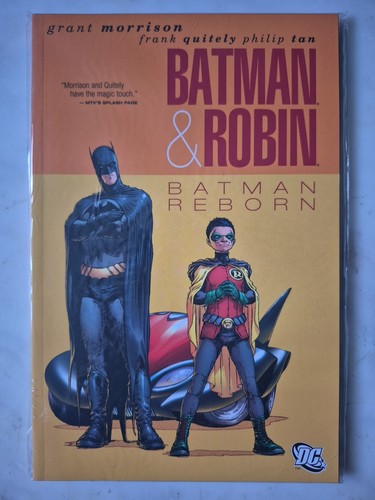 Batman robin reborn - batman,